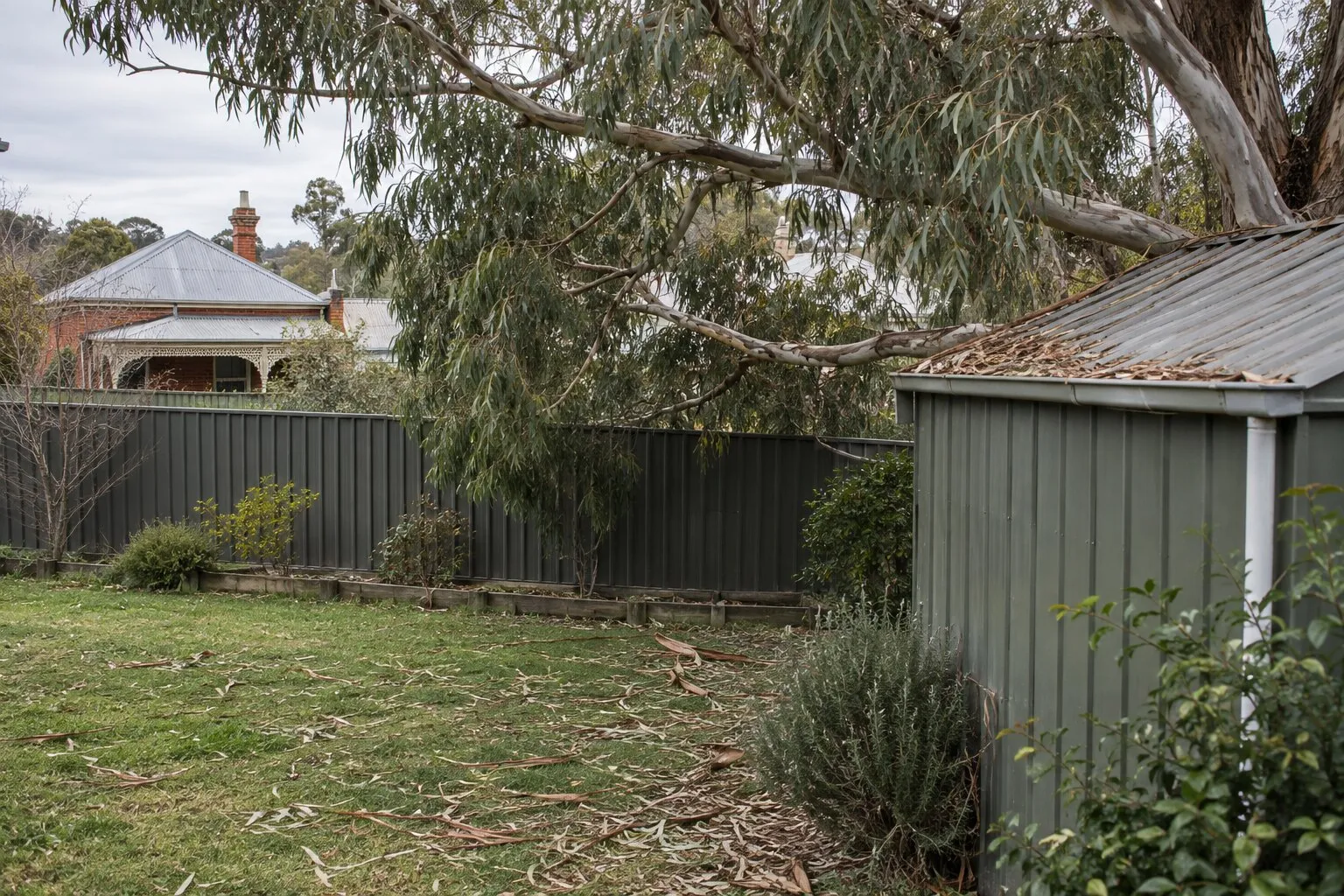 Storm damage, Bendigo: heavy gum branches from a neighbour's tree hanging over a back fence and garden shed