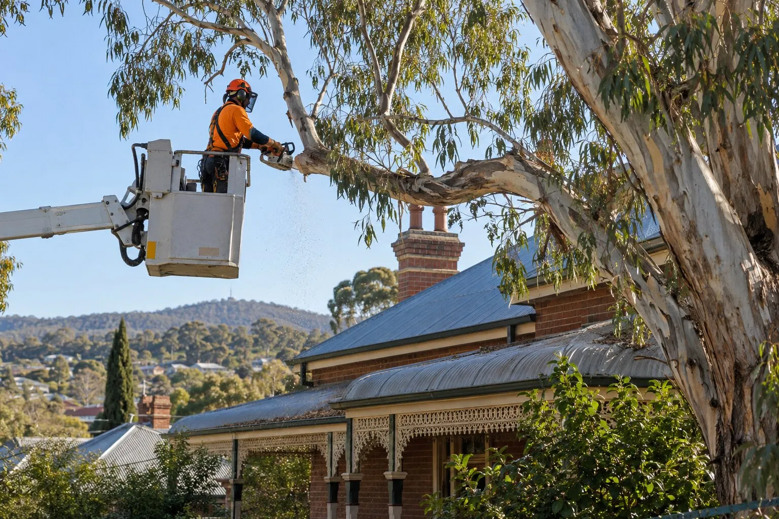 Tree pruning cost, Bendigo: arborist in an elevated work platform cutting a gum branch over a roof