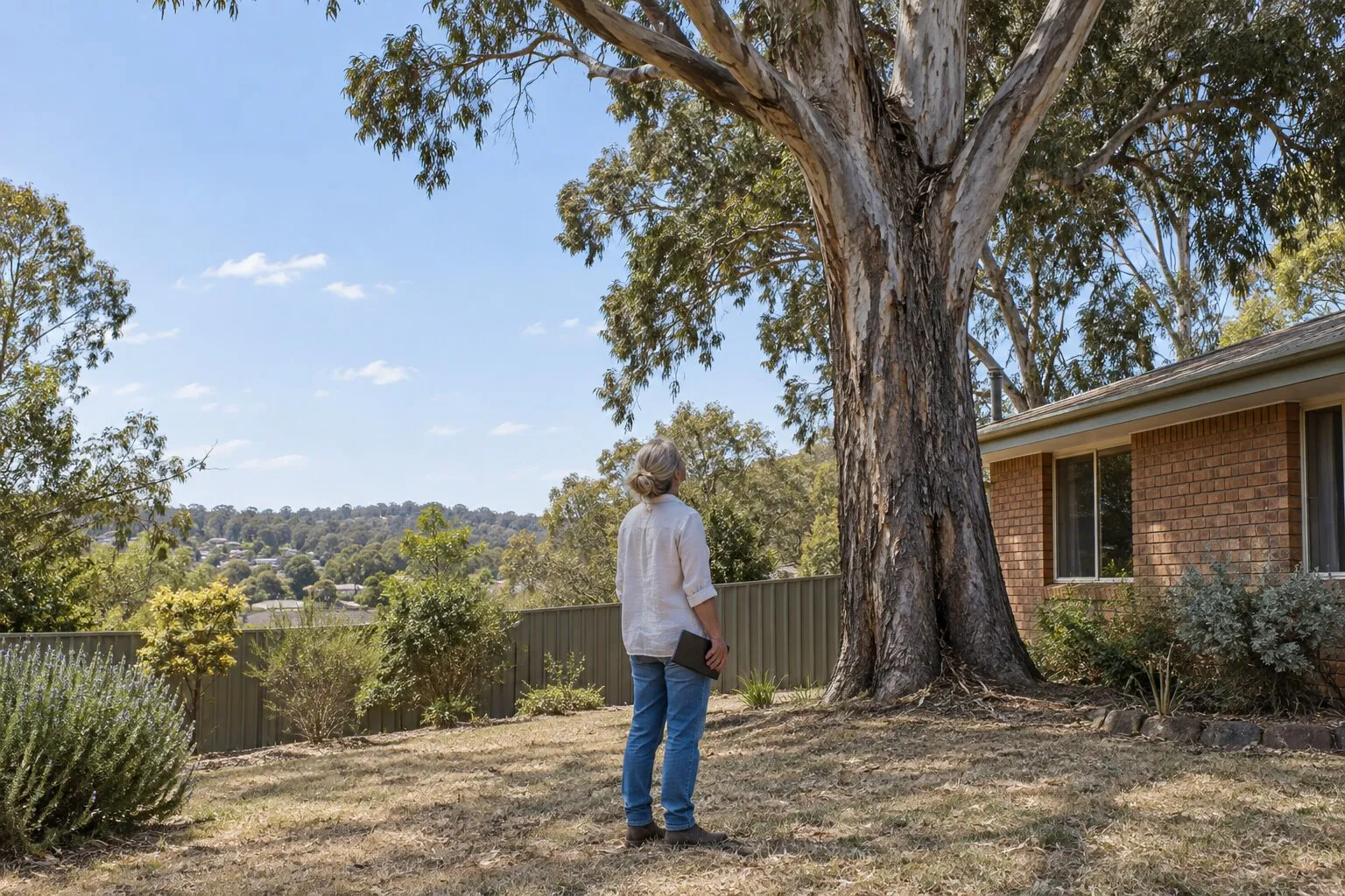 Tree removal permit checker, Bendigo: homeowner looking up at a large old eucalyptus beside a brick house