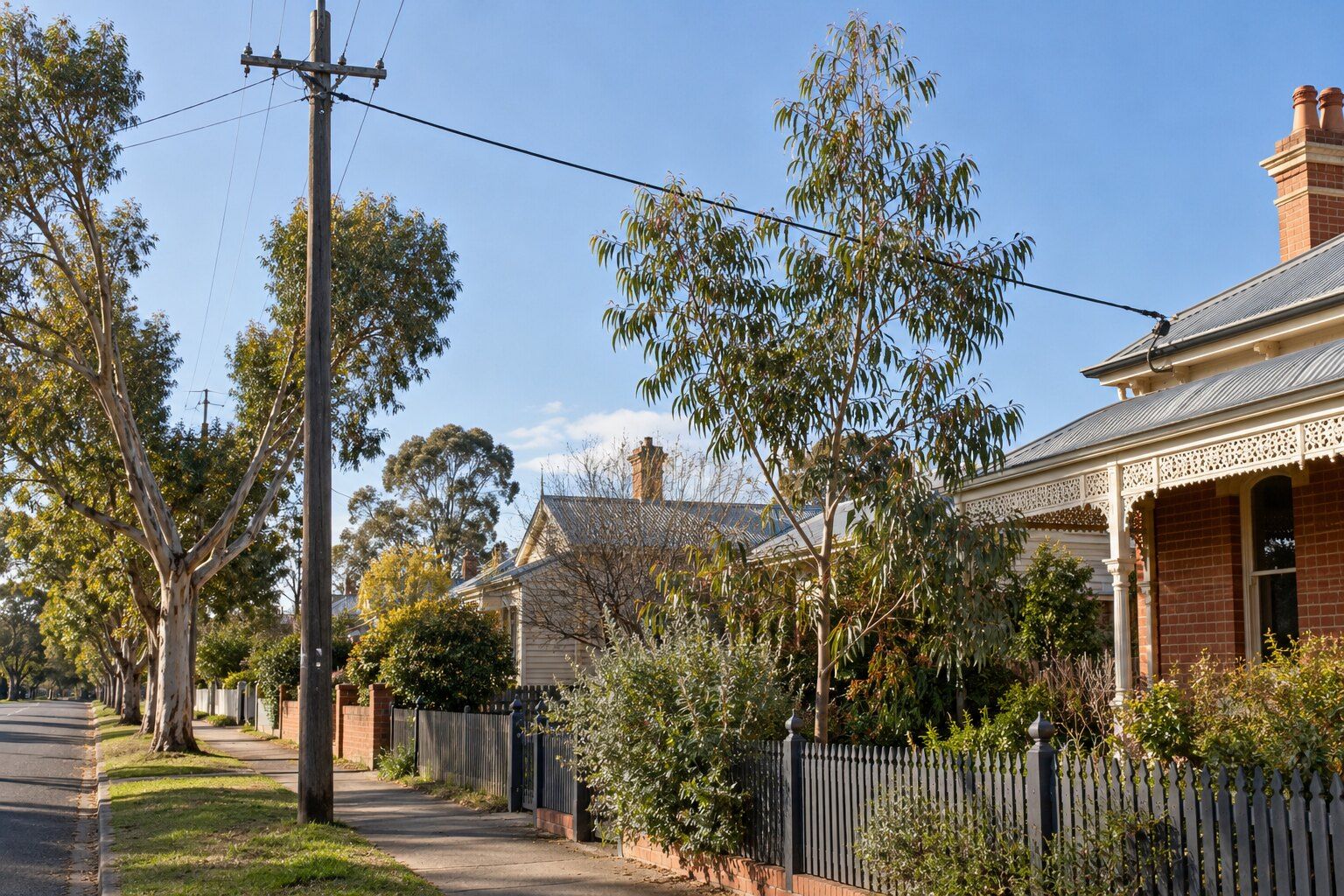 Trees near power lines, Bendigo: young gum in a front garden growing up towards the service line from a timber pole